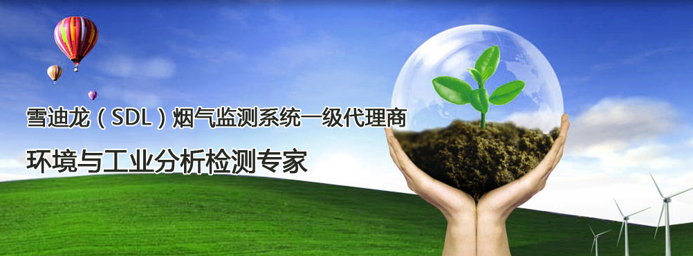 雪迪龙烟气监测系统一级代理商