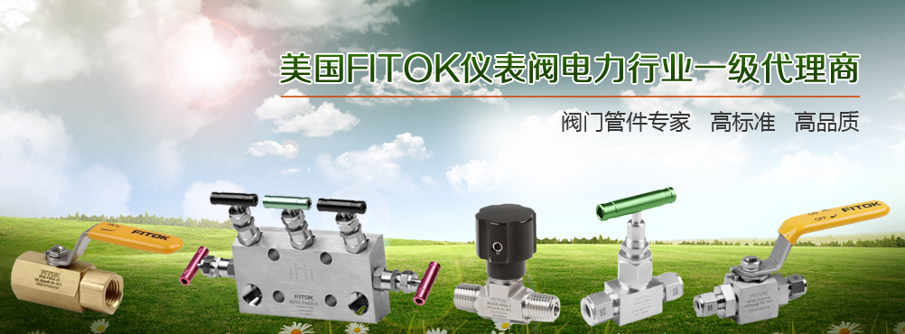 美国仪表阀电力行业一级代理商